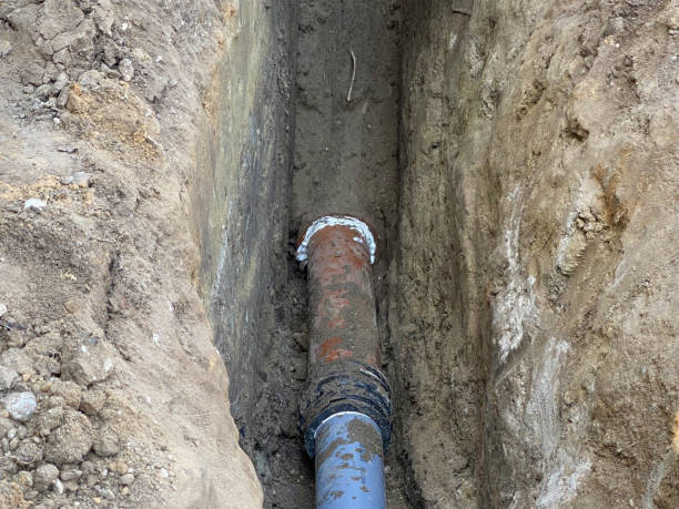 Best Sewage cleanup and water damage restoration  in Clairton, PA