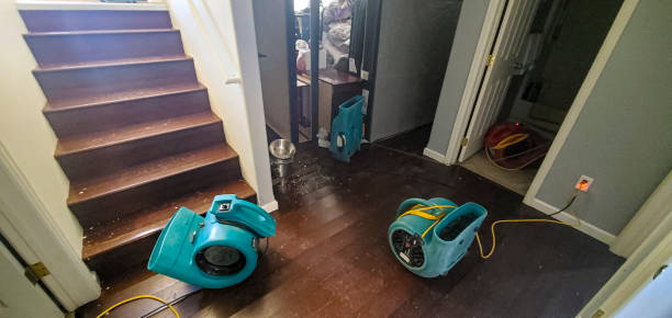 Best 24-hour water damage restoration  in Clairton, PA