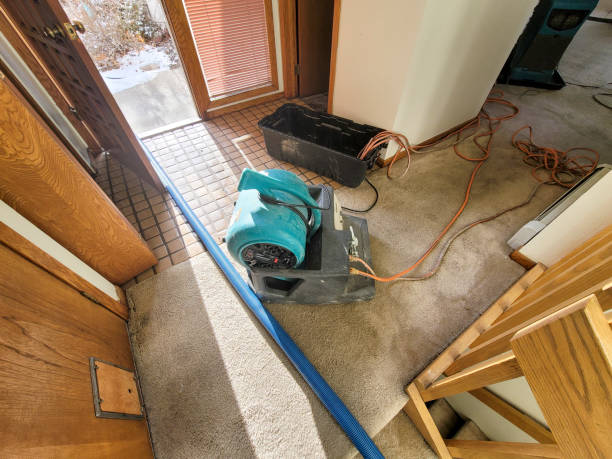Best Carpet water damage restoration  in Clairton, PA