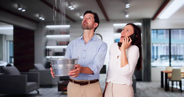 Best Water damage restoration process  in Clairton, PA