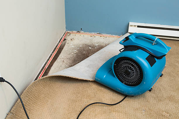 Professional Water damage restoration in Clairton, PA