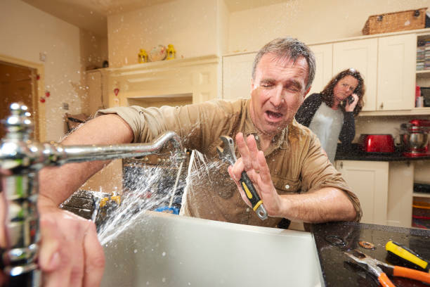 Best Local water damage restoration  in Clairton, PA
